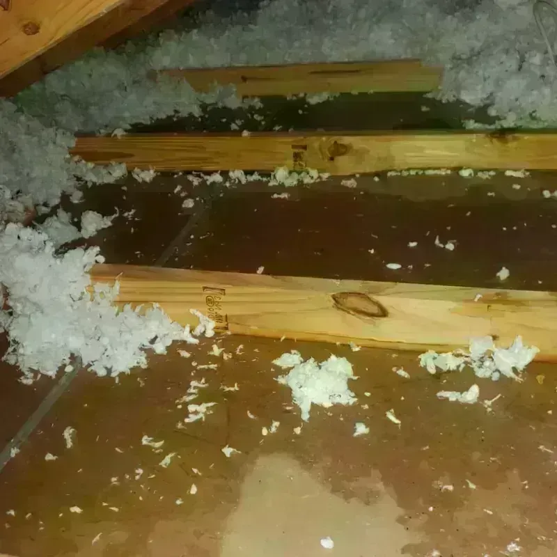 Attic Water Damage in Richwood, LA